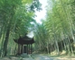 藏龙生态旅游