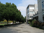 浙江大学附属中学